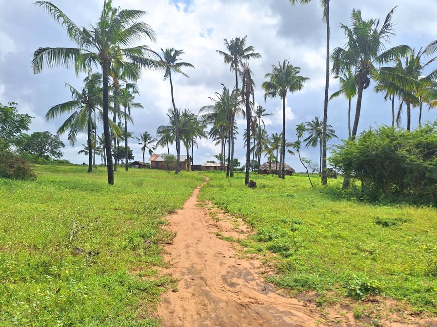 a dirt road in the middle of a lush green field - Malindi Land