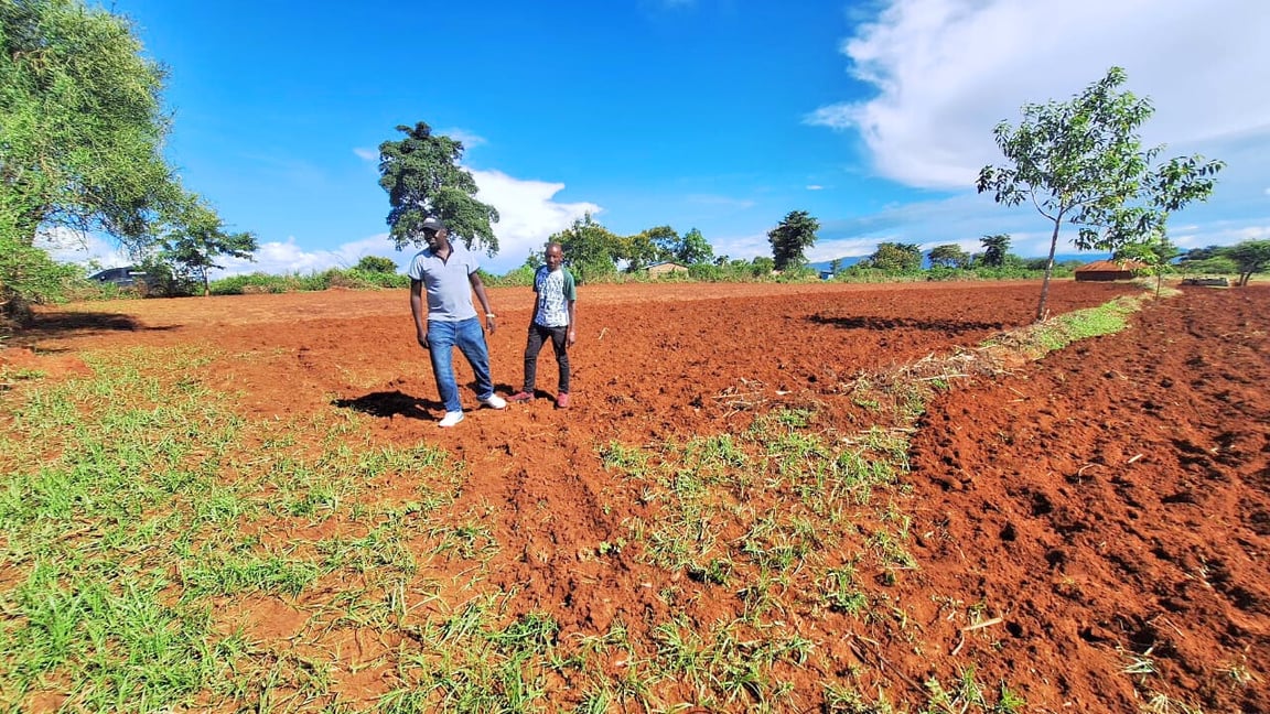 a red field with a tree in the middle in Makutano mwea - Favour Land Properties #RealEstate #Landproperties